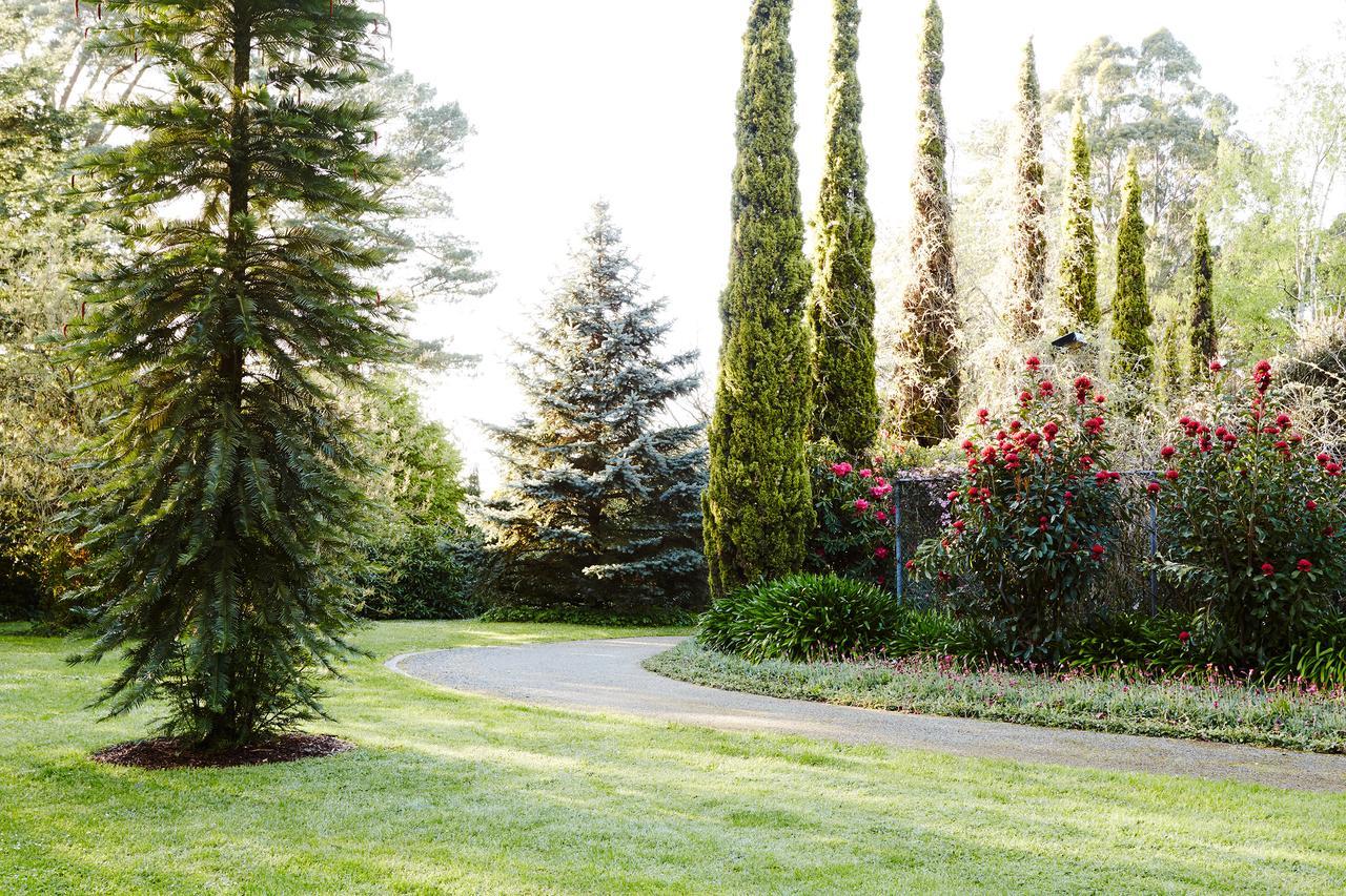 Beechmont Garden Retreat Guest House Olinda Bagian luar foto