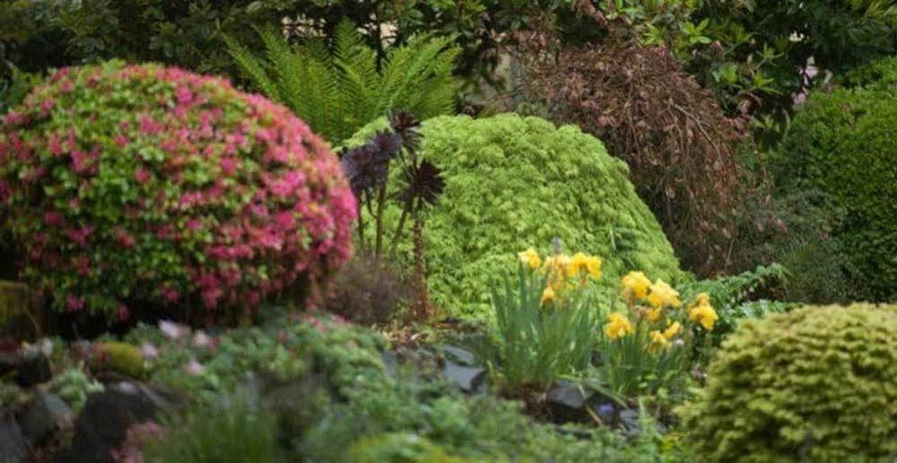 Beechmont Garden Retreat Guest House Olinda Bagian luar foto