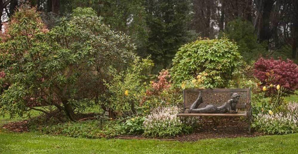 Beechmont Garden Retreat Guest House Olinda Bagian luar foto