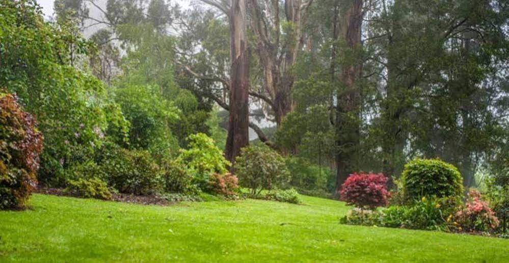 Beechmont Garden Retreat Guest House Olinda Bagian luar foto