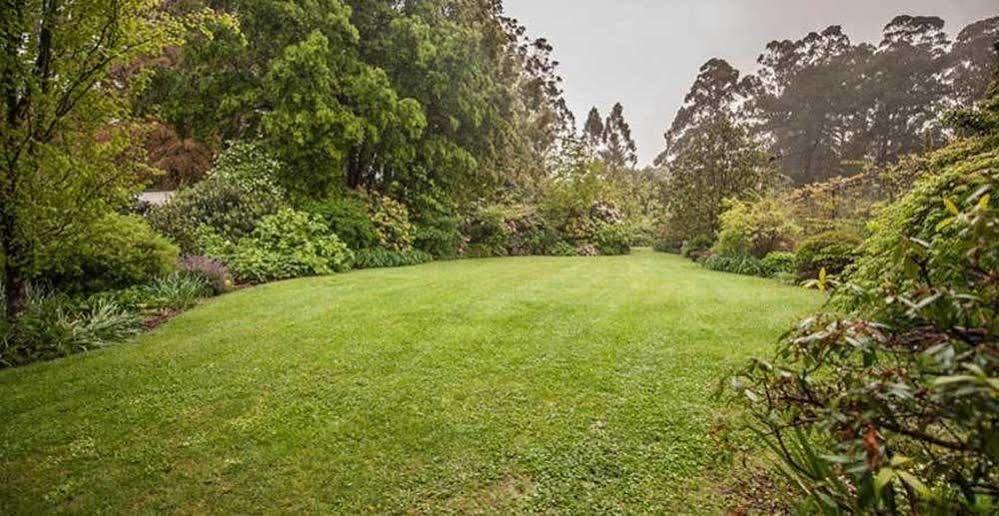Beechmont Garden Retreat Guest House Olinda Bagian luar foto