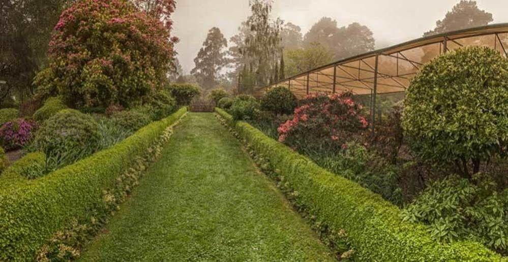 Beechmont Garden Retreat Guest House Olinda Bagian luar foto
