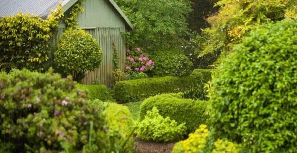 Beechmont Garden Retreat Guest House Olinda Bagian luar foto