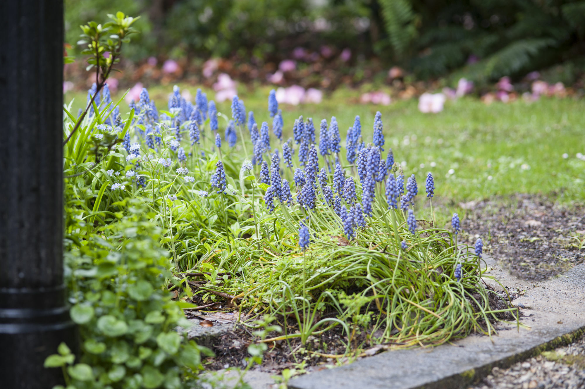 Beechmont Garden Retreat Guest House Olinda Bagian luar foto